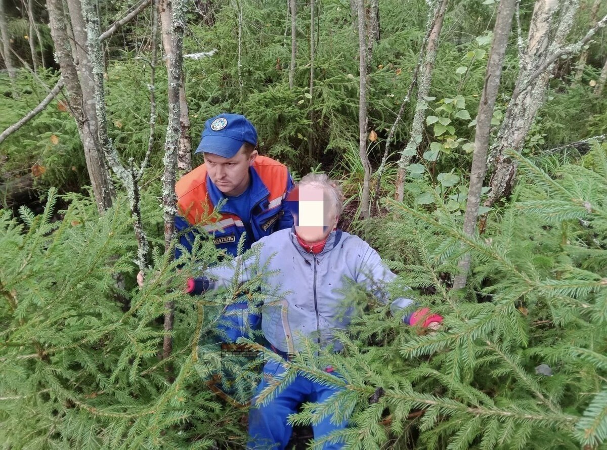 Фото: https://t.me/acclenobl/3479