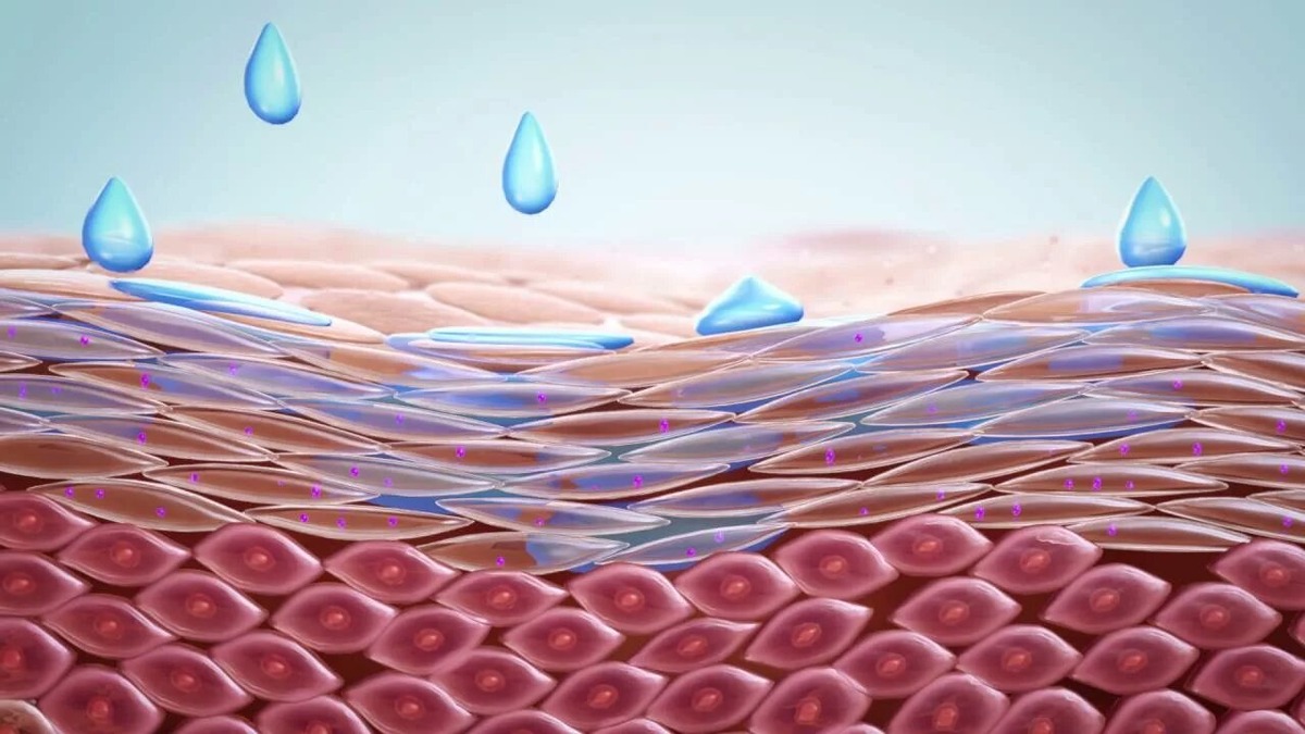 Источник фото: youtube.com