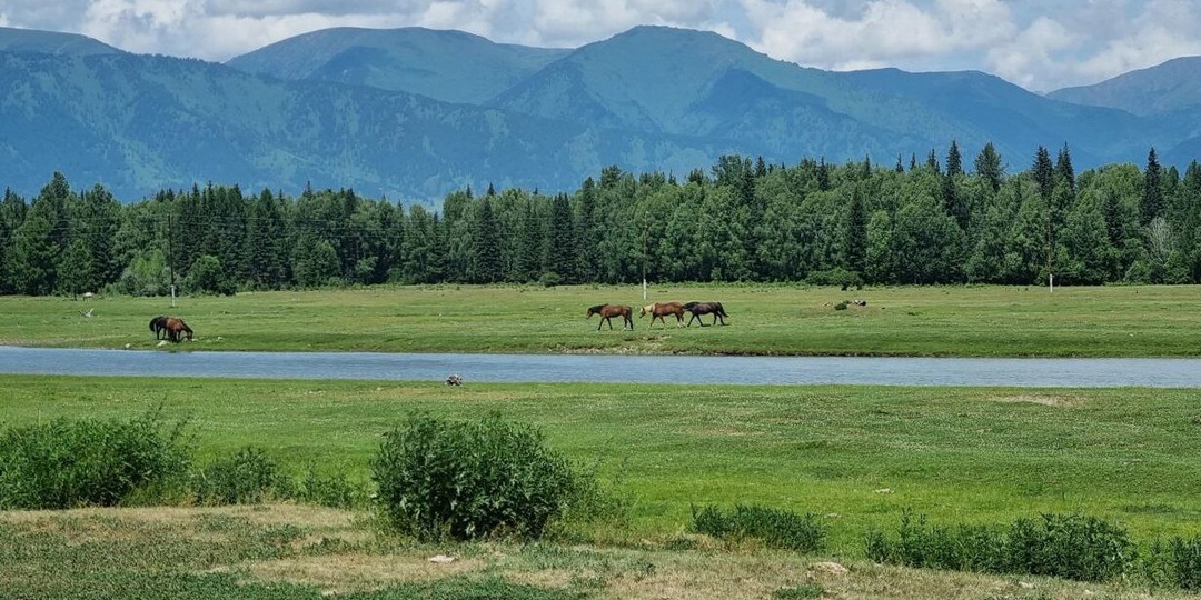 По следам Николая Рериха: где находится вход в шамбалу и как туда попасть?