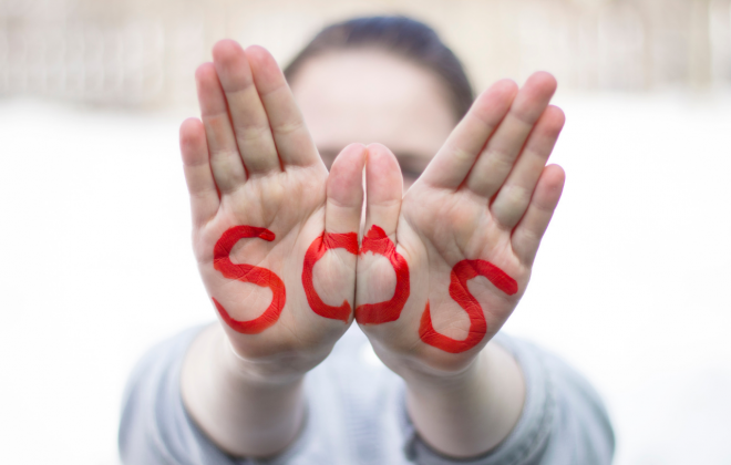 Картинка из интернета