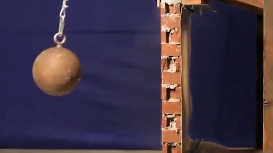 Фото: © Кадр из программы "Как устроен мир", РЕН ТВ