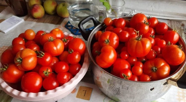    Фото: Лукьянов Дмитрий, AgroXXI.ru