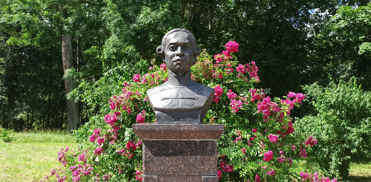 Бюст молодого А.П. Ганнибала. Передан музею в 1984 г. московским скульптором Е. А. Косовой