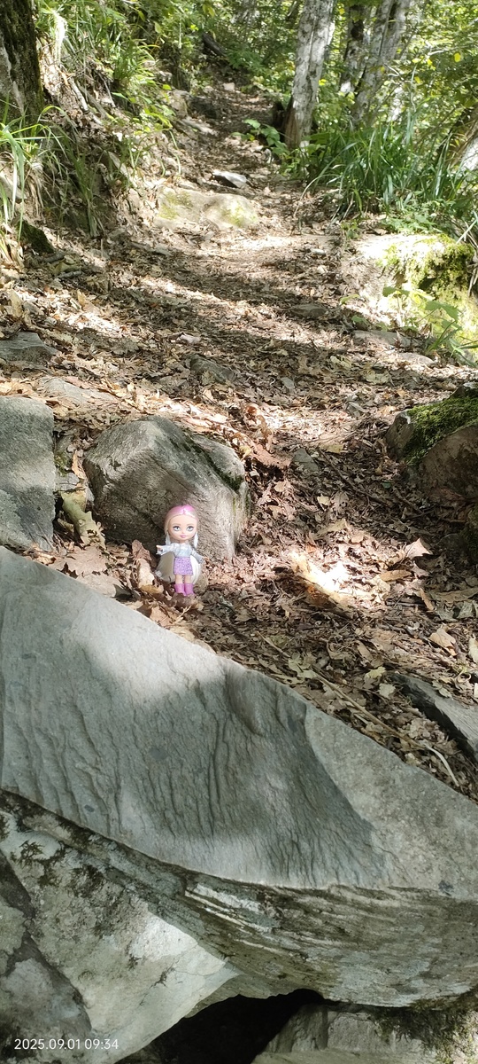 Топ-топ-топ