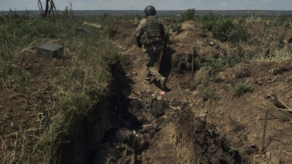    © AP Photo / Libkos