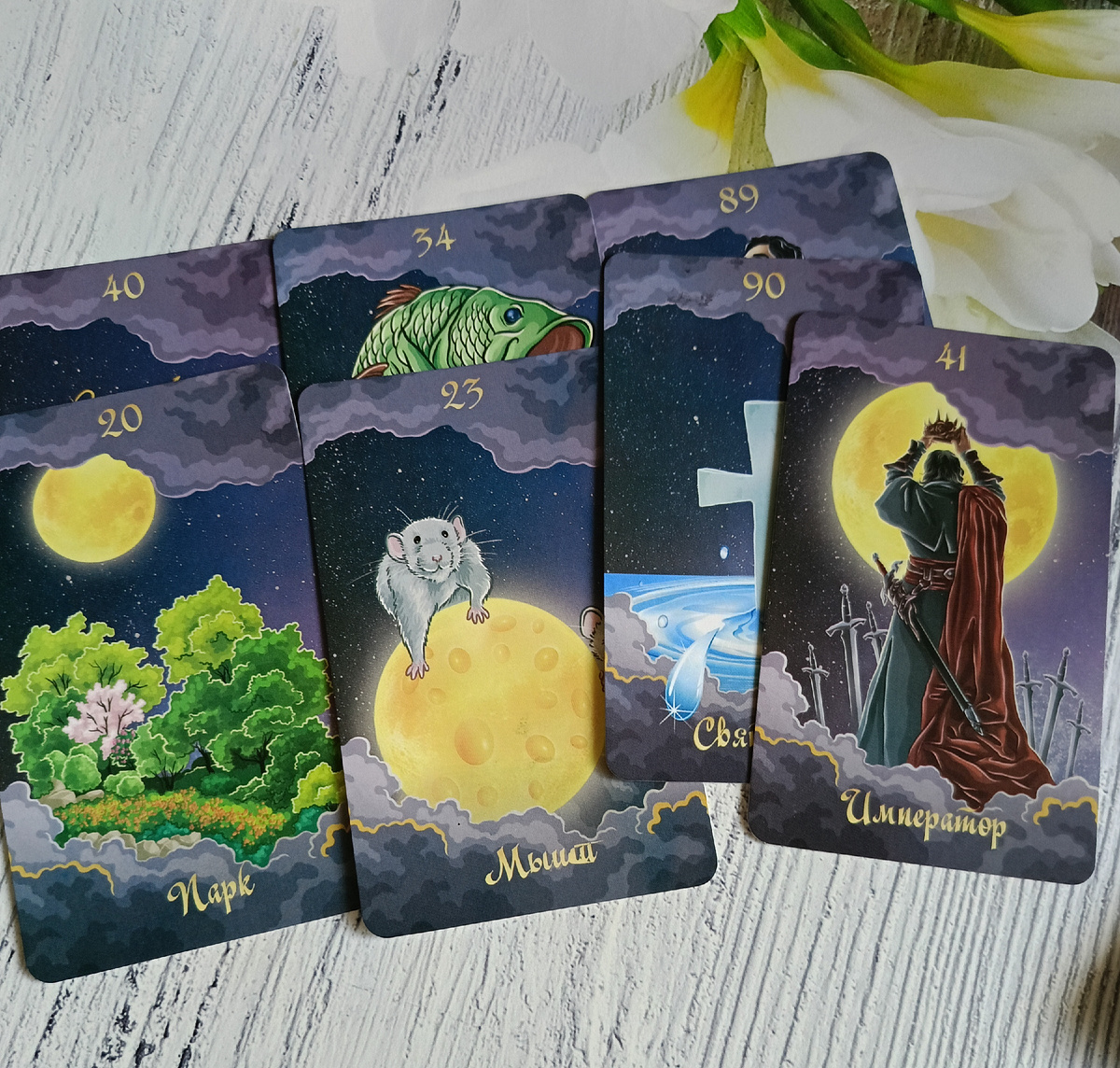 Фото автора