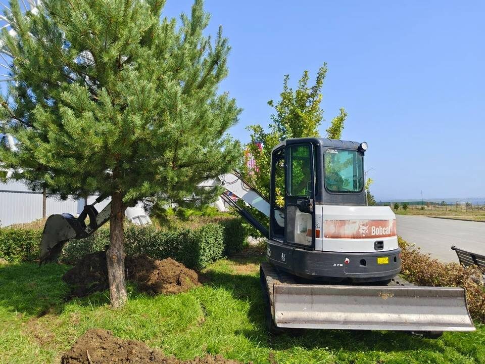    Фото: дирекция ЦПКиО