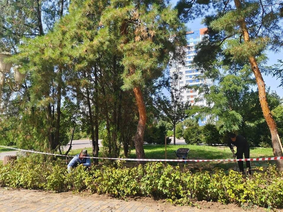    Фото: дирекция ЦПКиО