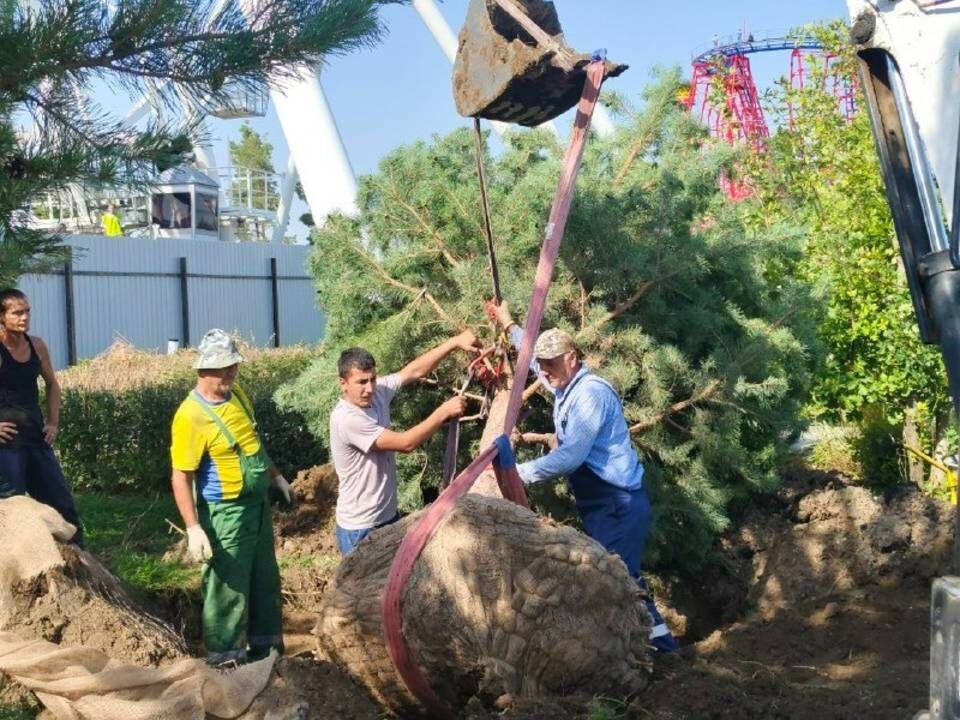    Фото: дирекция ЦПКиО