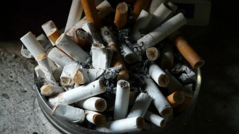     Курение. Олег Богданов