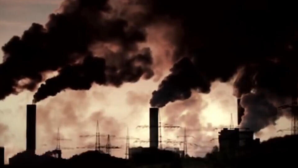 Фото: © Кадр из программы "Невероятно интересные истории", РЕН Т