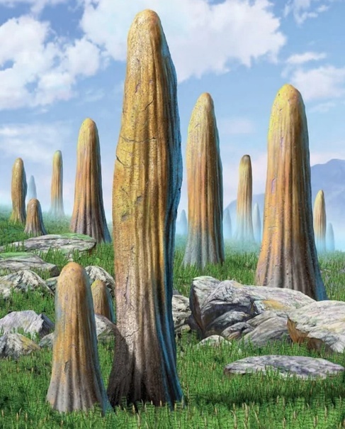 Фото из открытых источников. 