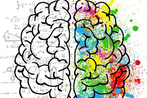 🧠 Можно ли тренировать память так же, как мышцы?