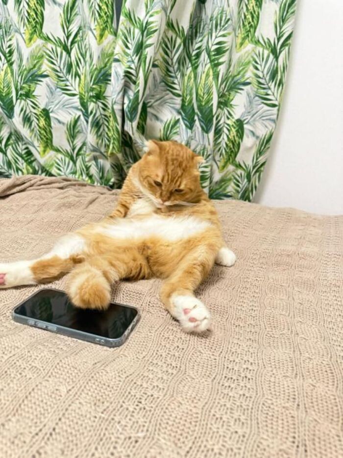 Иллюстрация: © «Панорама»