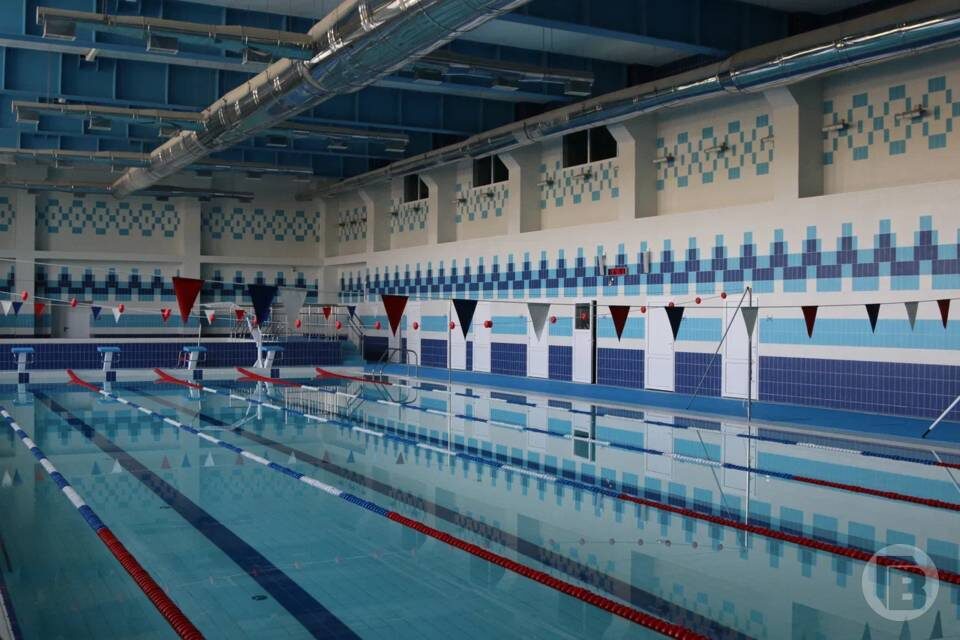    Фото: Матвей Горбунов/"Городские вести"