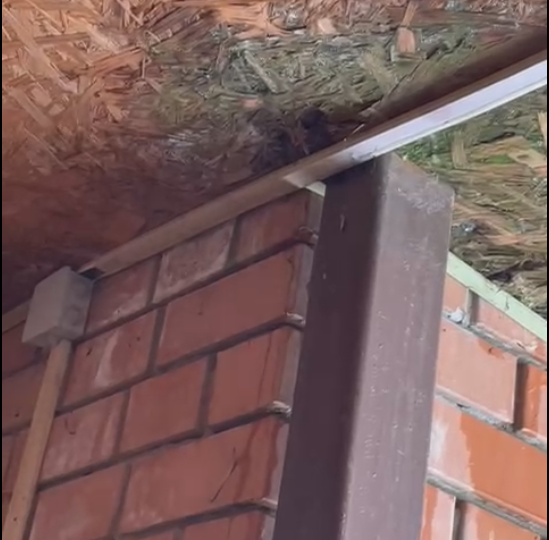 Исправляем косяк горе-кровельщиков на крыше навеса