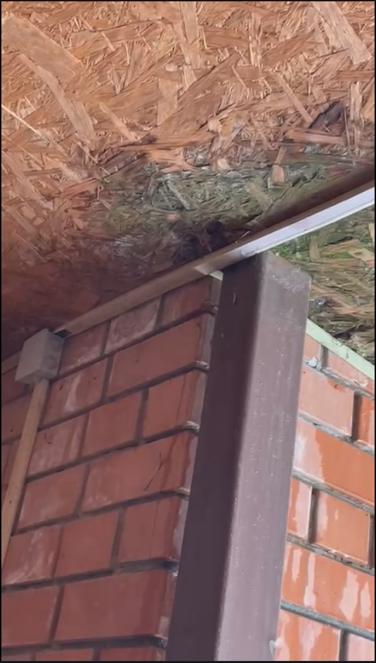 Протечка навеса