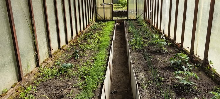    Фото: Лукьянов Дмитрий, AgroXXI.ru