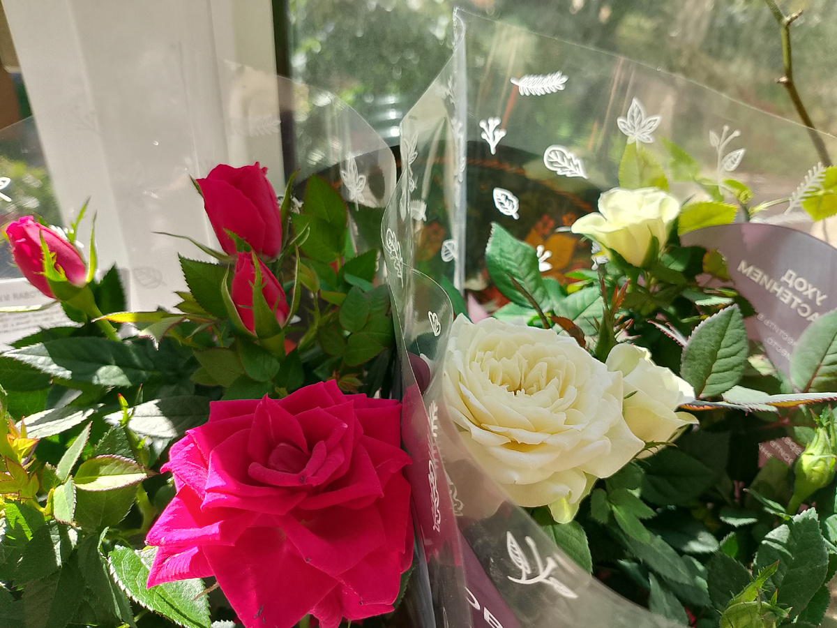 Фото автора 