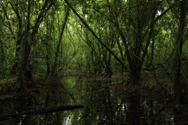 Источник: pxhere.com. 