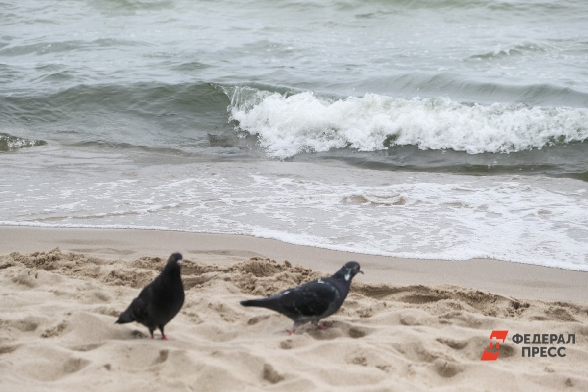 Ночные температуры в регионе стали заметно ниже.  Фото: ФедералПресс / Полина Зиновьева