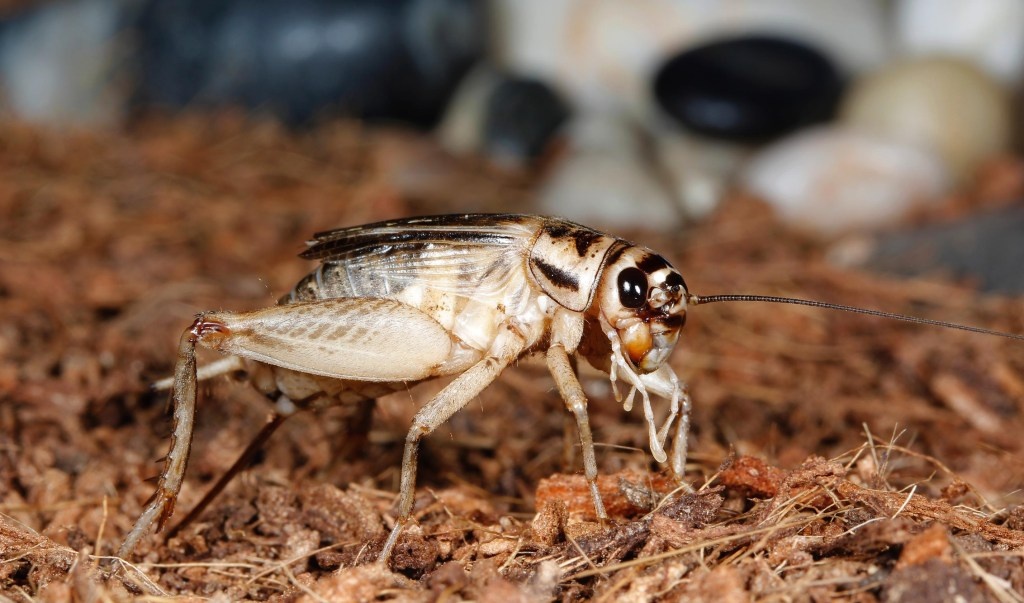 Фотография взята из открытых источников