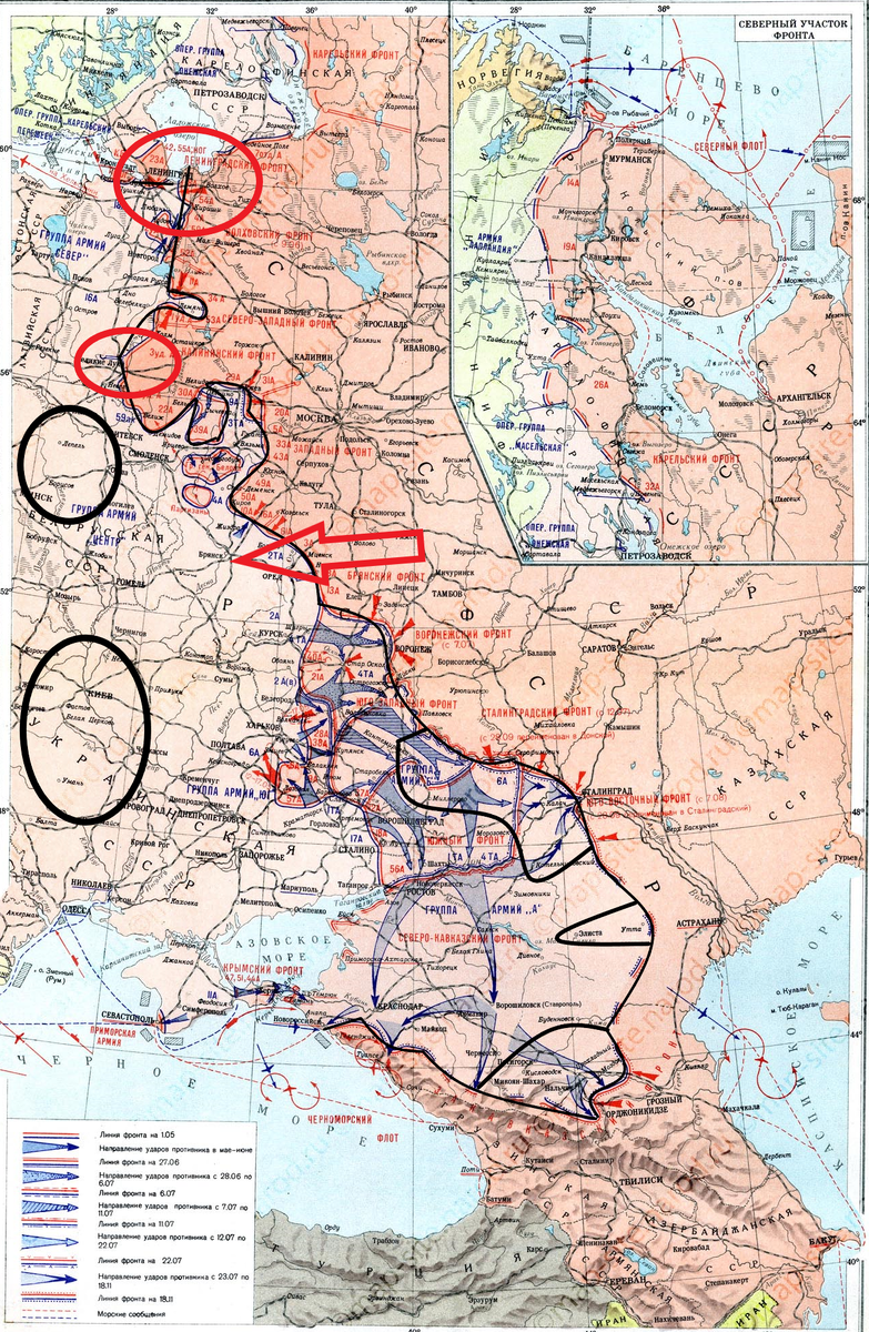 (Фото взято из открытых источников).