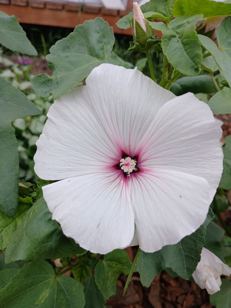 Выберите свой оттенок