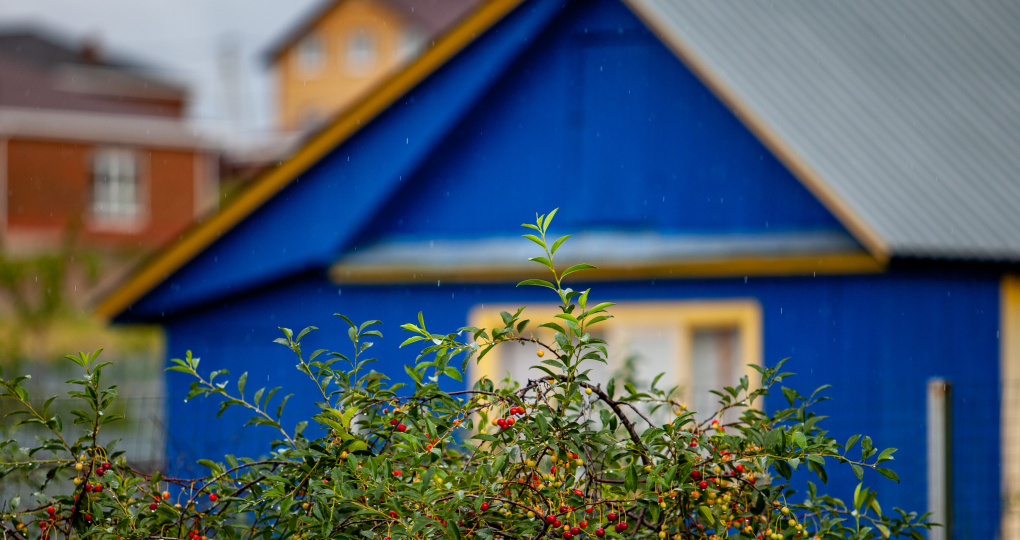 За это землю заберут. Какие критерии изъятия участков действуют в России с 1 сентября 2025 года