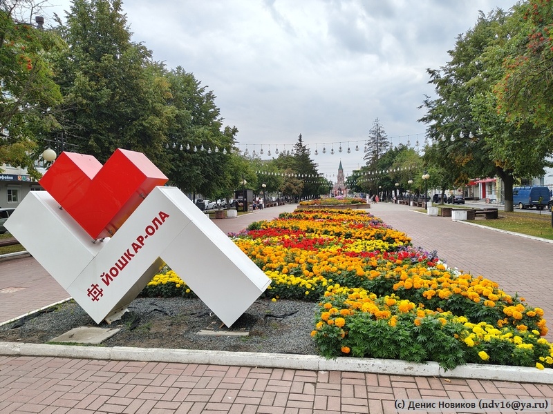 В летний сезон Йошкар-Ола радует цветами и зеленью