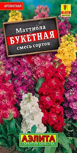 ожидание, фото из открытых источников