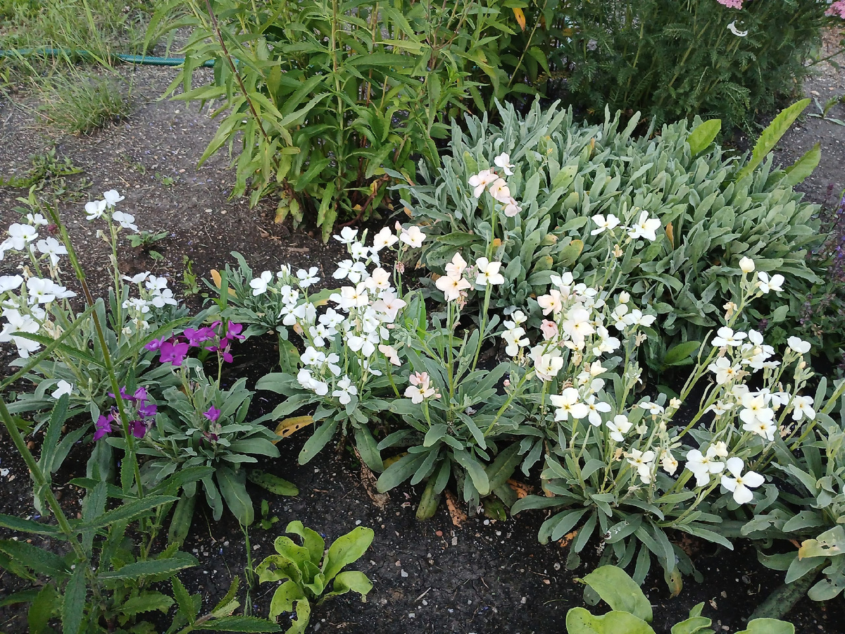 реальность - мдаааааа...