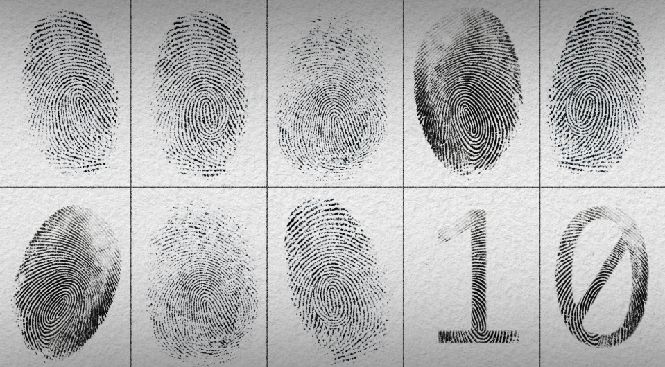 Illustration: Sarah Grillo/Axios