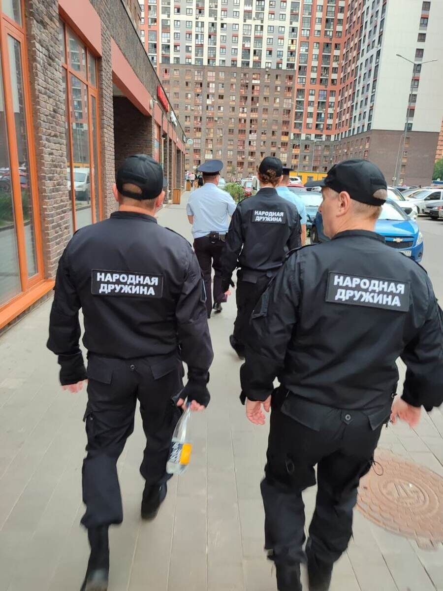 Народные дружинники Подмосковья - открытые источники