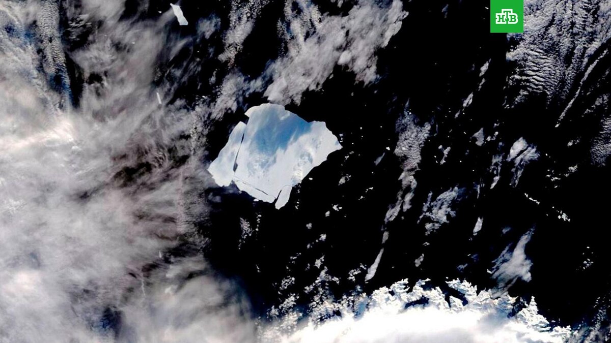    Фото: aari_official / t.me