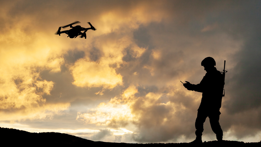    Фото: Hamara/shutterstock