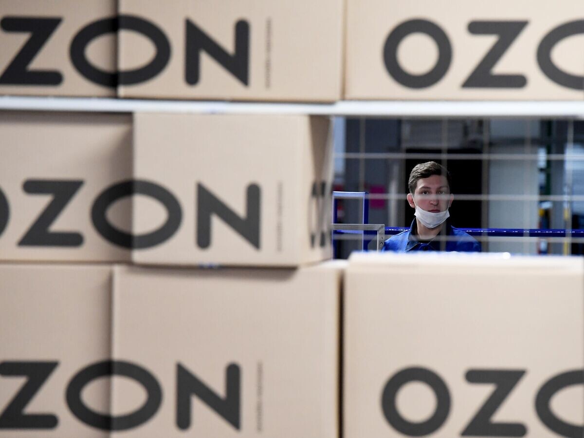    Сотрудник на складе логистического центра Ozon на территории ТОСЭР "Зеленодольск" в Казани© РИА Новости / Максим Богодвид