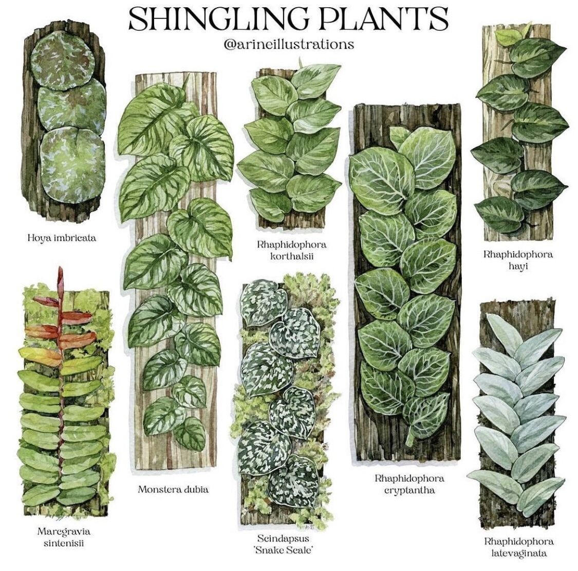 Источник - https://ru.pinterest.com/pin/86623992827945651/