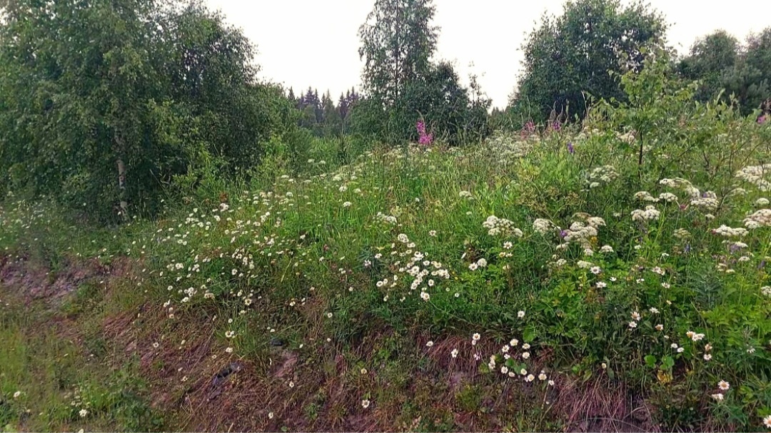 фото из личного архива. 