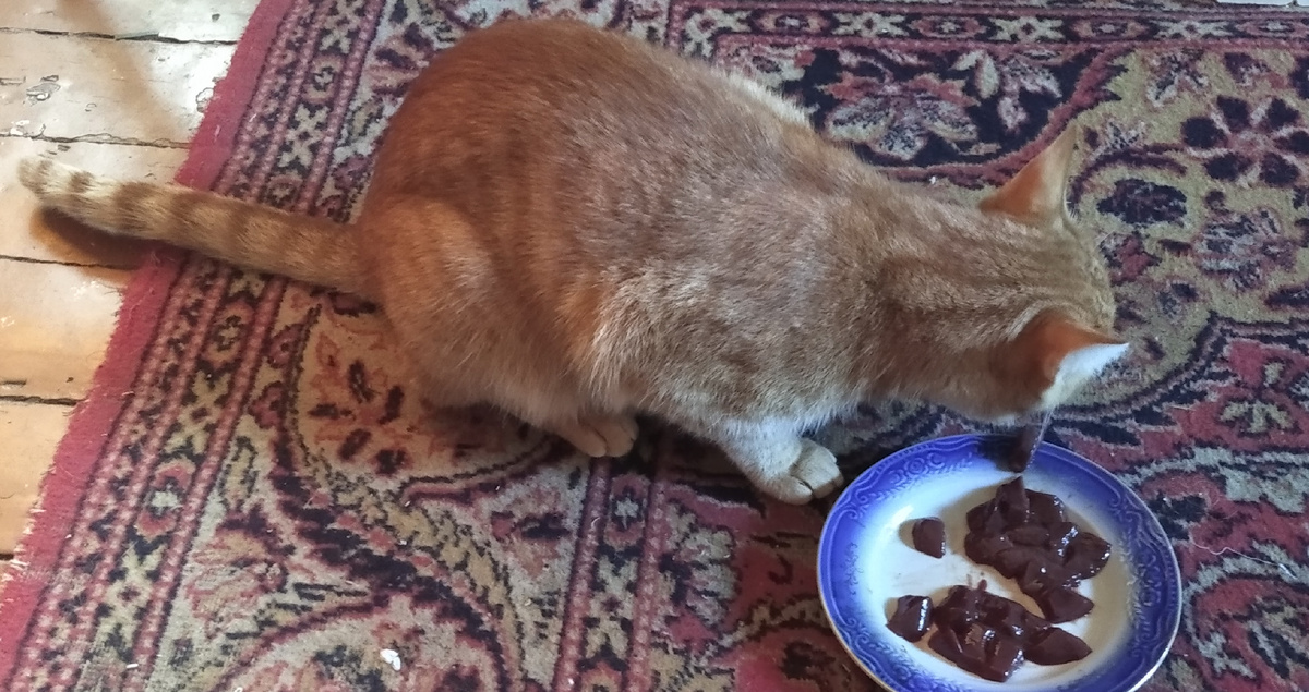 личное  фото