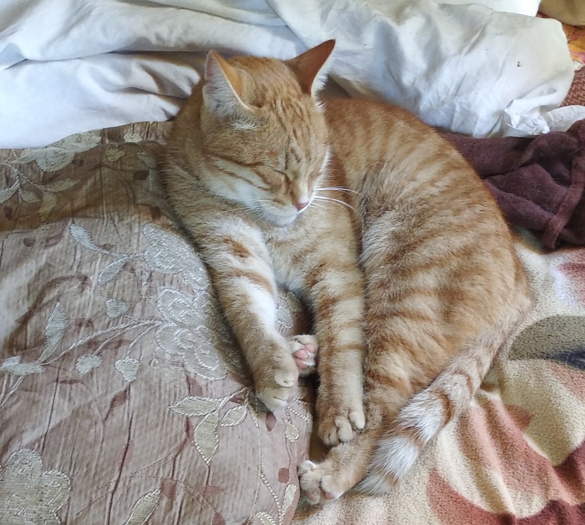 личное  фото