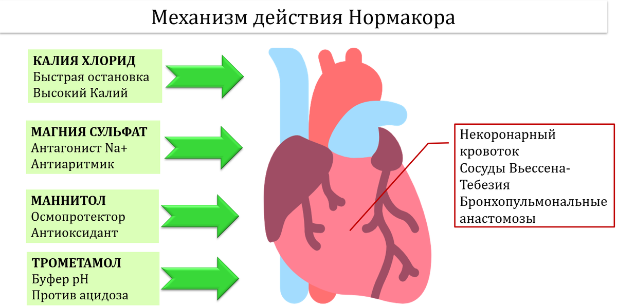 Кардиоплегический раствор Нормакор: механизм действия