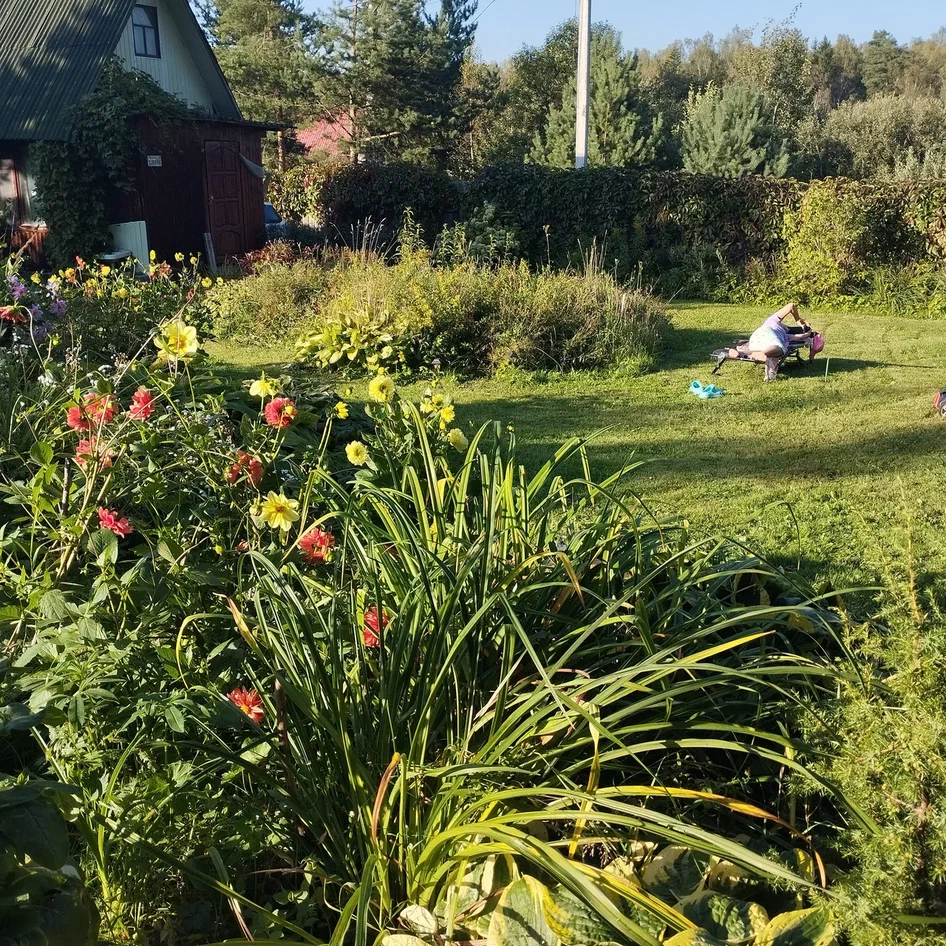 Вот лето пролетело, нас оставив позади (с)