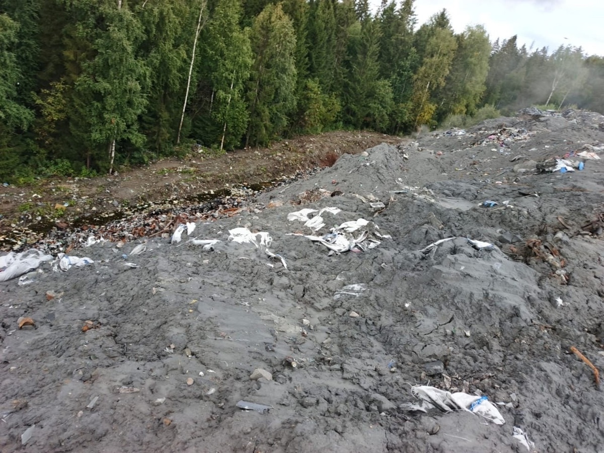    Фото: Дмитрий Зацепин