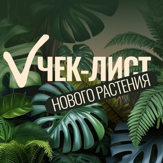 Чек-лист