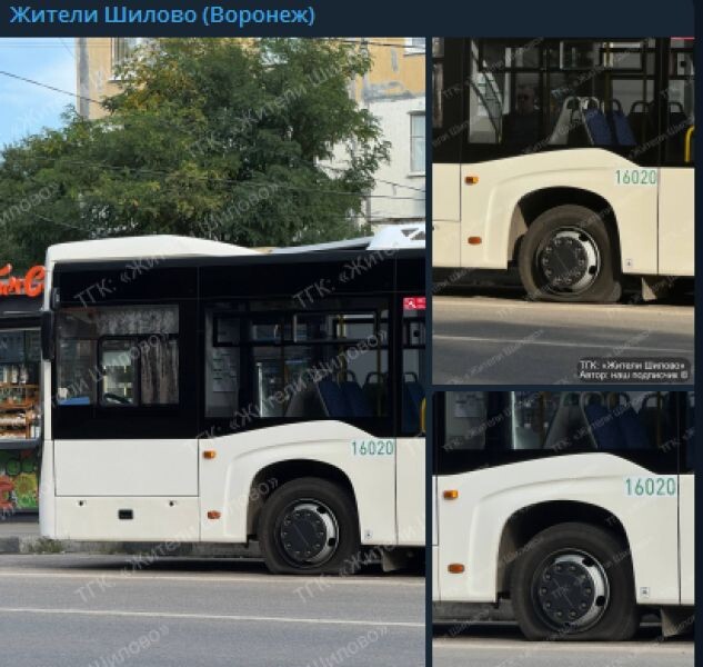    Фото: социальные сети