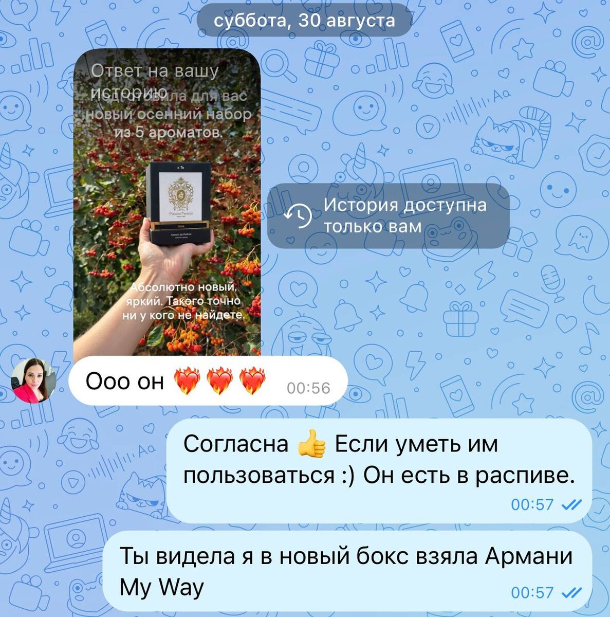 Скрин переписки 