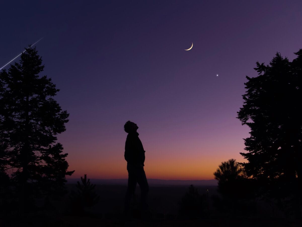    Новолуние© m-gucci