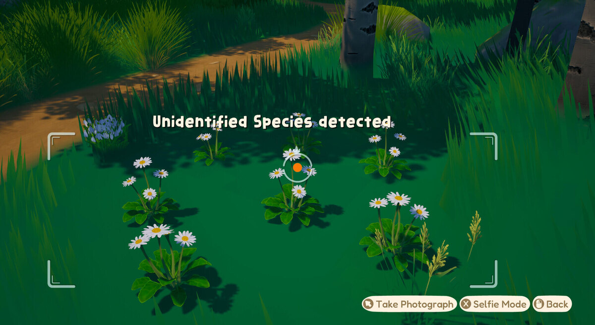    Галерея игры Out and About