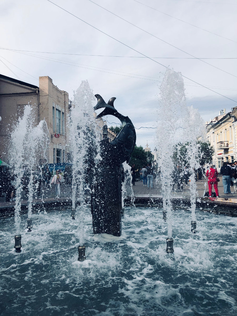 Инь - Янь, две рыбы, плывущие в разные стороны, мужское и женское.